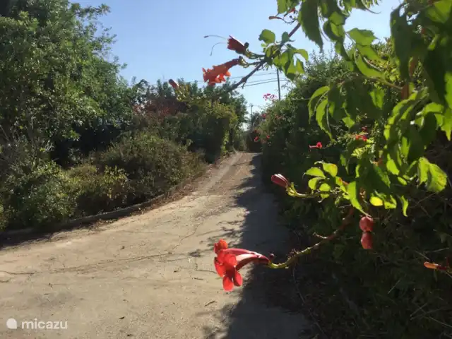 Villa Belo Romao en Portugal, Algarve, Moncarapacho - villa El camino privado