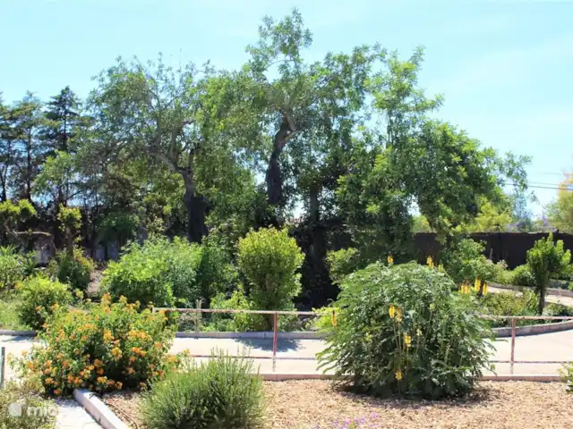 Villa Belo Romao en Portugal, Algarve, Moncarapacho - villa jardín delantero con entrada