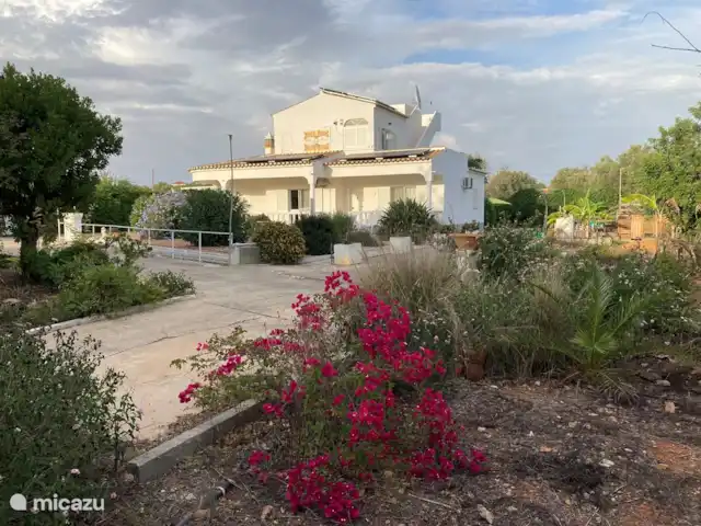 Villa Belo Romao en Portugal, Algarve, Moncarapacho - villa Visto desde el patio delantero