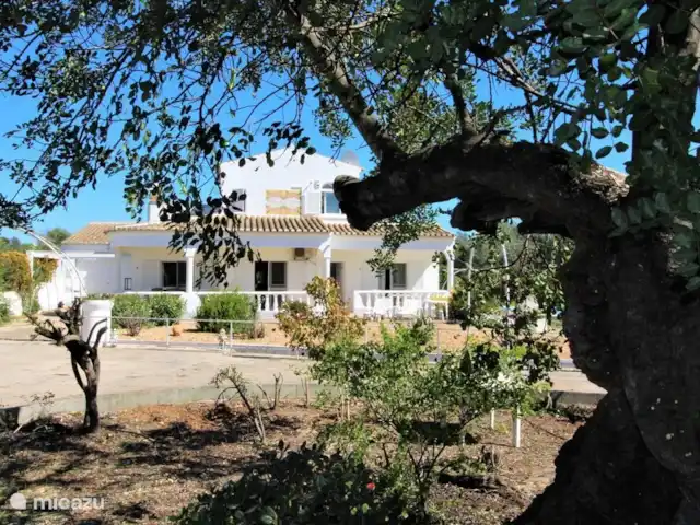 Villa Belo Romao en Portugal, Algarve, Moncarapacho - villa villa vista desde el patio delantero