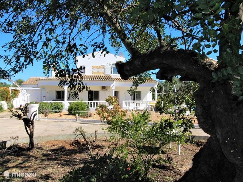 Holiday home in Portugal, Algarve, Moncarapacho Villa Villa Belo Romão
