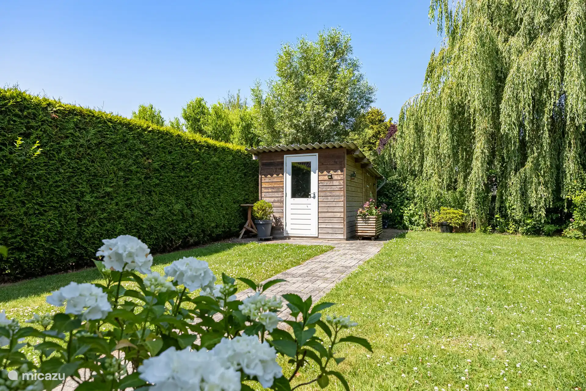 Shed in the garden