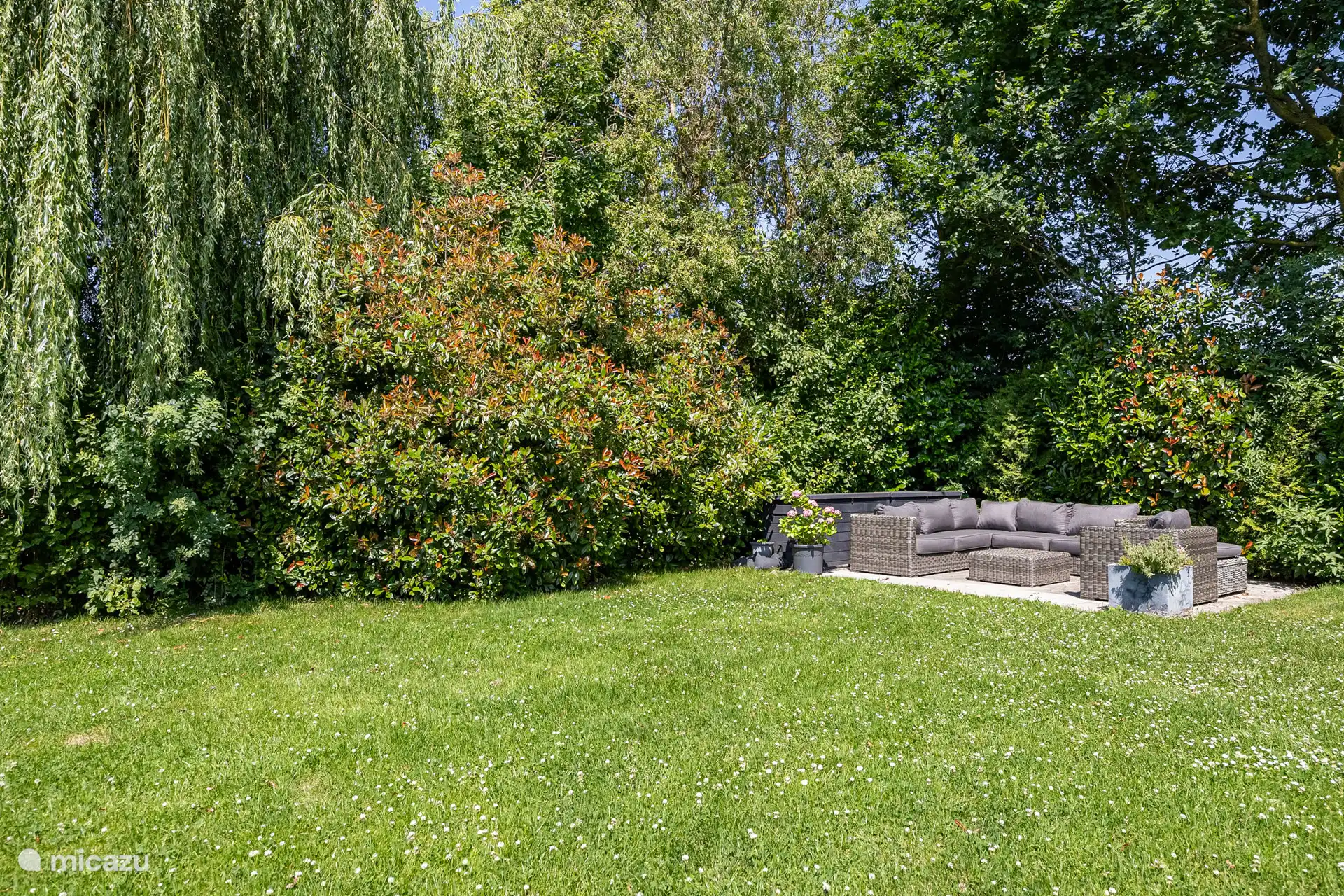 Lounge sofa in the back of the garden