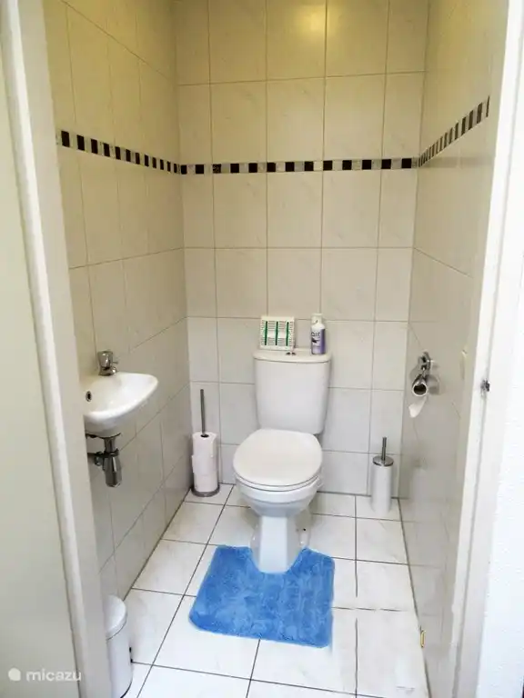 Toilette im Flur Erdgeschoss