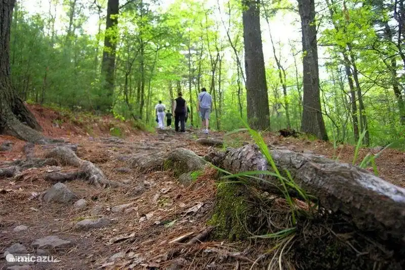 Der größte Laubwald Europas, direkt neben dem Park