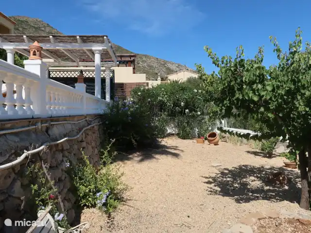 Location de Vacances Espagne, Costa Blanca, Jalón, villa - Maison Solvino Jardin avec arbres fruitiers