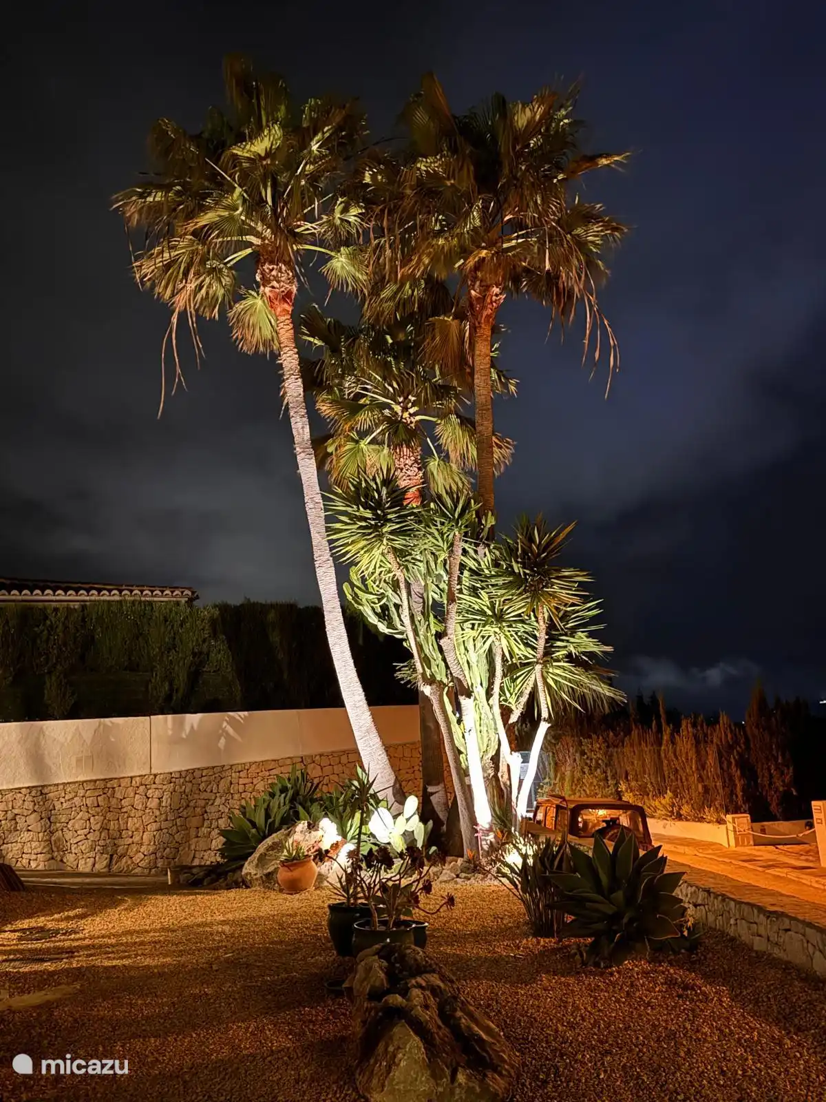 éclairage d’ambiance dans le jardin