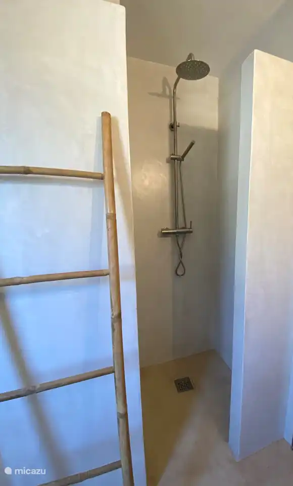 beneden badkamer 1 met regendouche