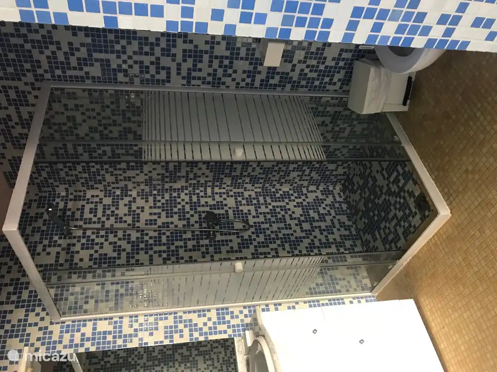 3e badkamer bij zwembad en buitenkeuken