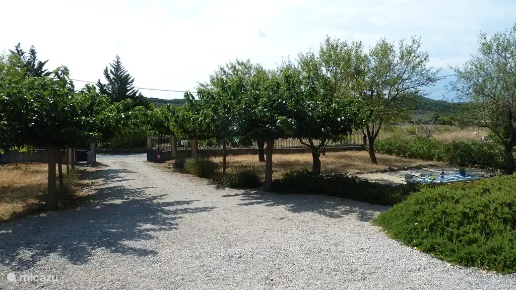 Jardin avant avec amandiers, figuiers, terrain de pétanque et table à manger extra-longue. L’allée avec des platanes offre plusieurs places de parking ombragées.