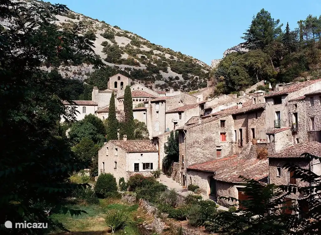 Lorsque vous vous promenez dans les rues de Saint-Guilhem-le-Désert ou que vous prenez un verre sur la place pittoresque de la ville, vous vous imaginez dans un passé lointain. Une expérience fantastique.