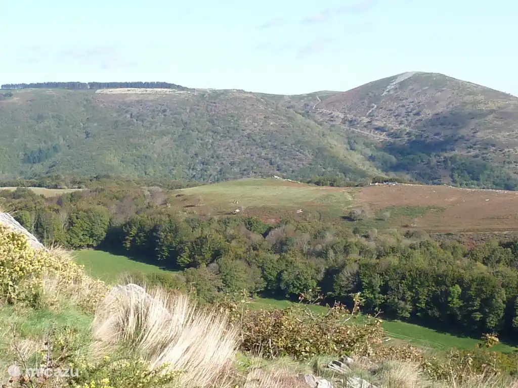 Point de vue lors de la promenade autour d'Assignan.