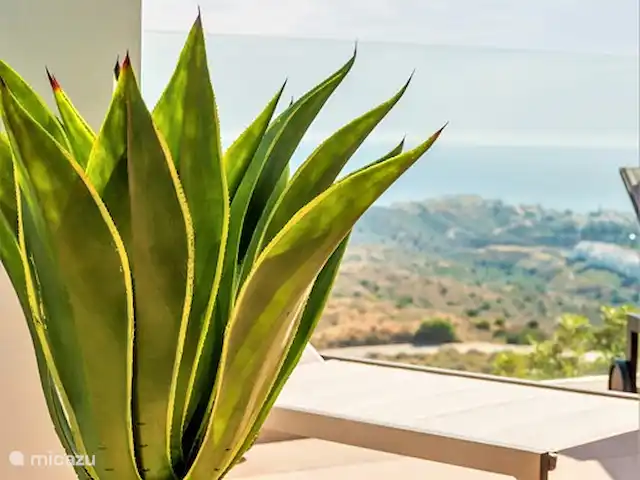 La Catherine | Espagne, Costa del Sol, La Cala de Mijas - appartement terrasse avec vue