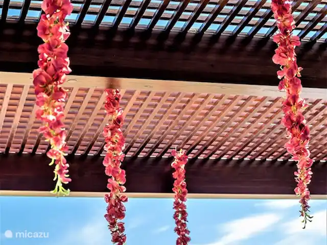 La Catherine | Espagne, Costa del Sol, La Cala de Mijas - appartement terrasse