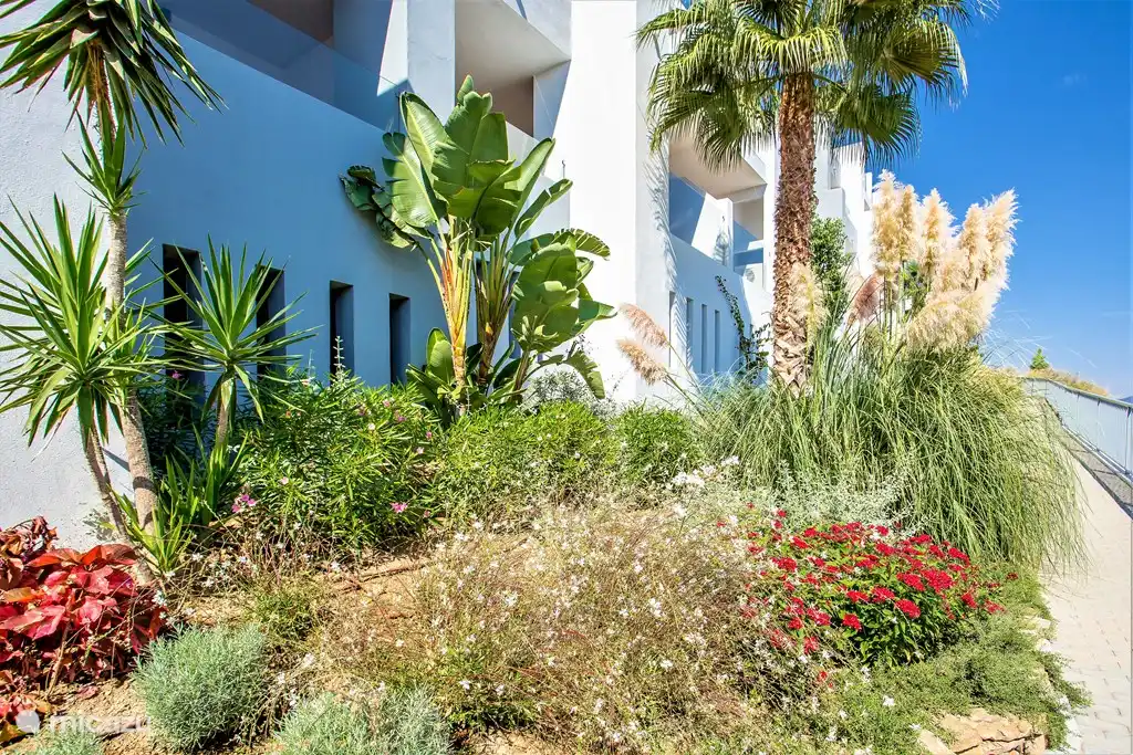 Jardins autour de La Cala Hill Club