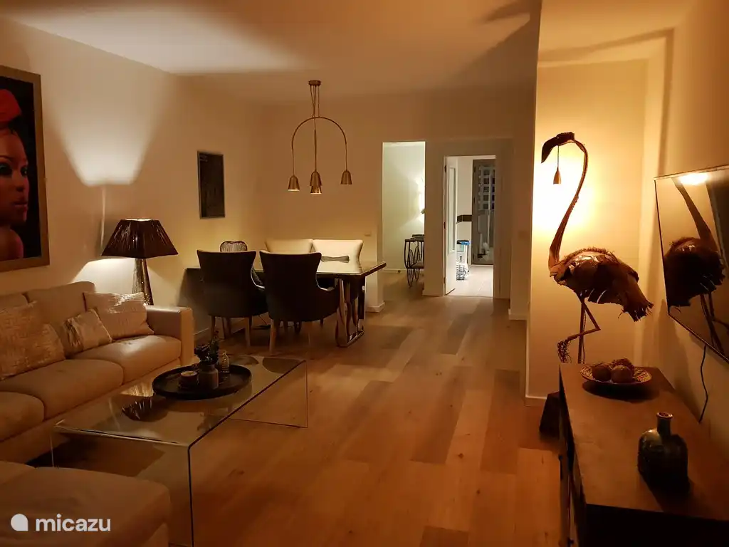 Salon avec coin repas