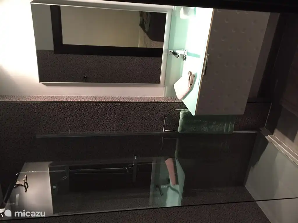 badkamer aan master bedroom