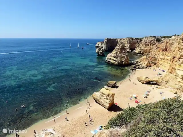 Casa Domipajo | Portugal, Algarve, Carvoeiro - villa Une des nombreuses plages à proximité