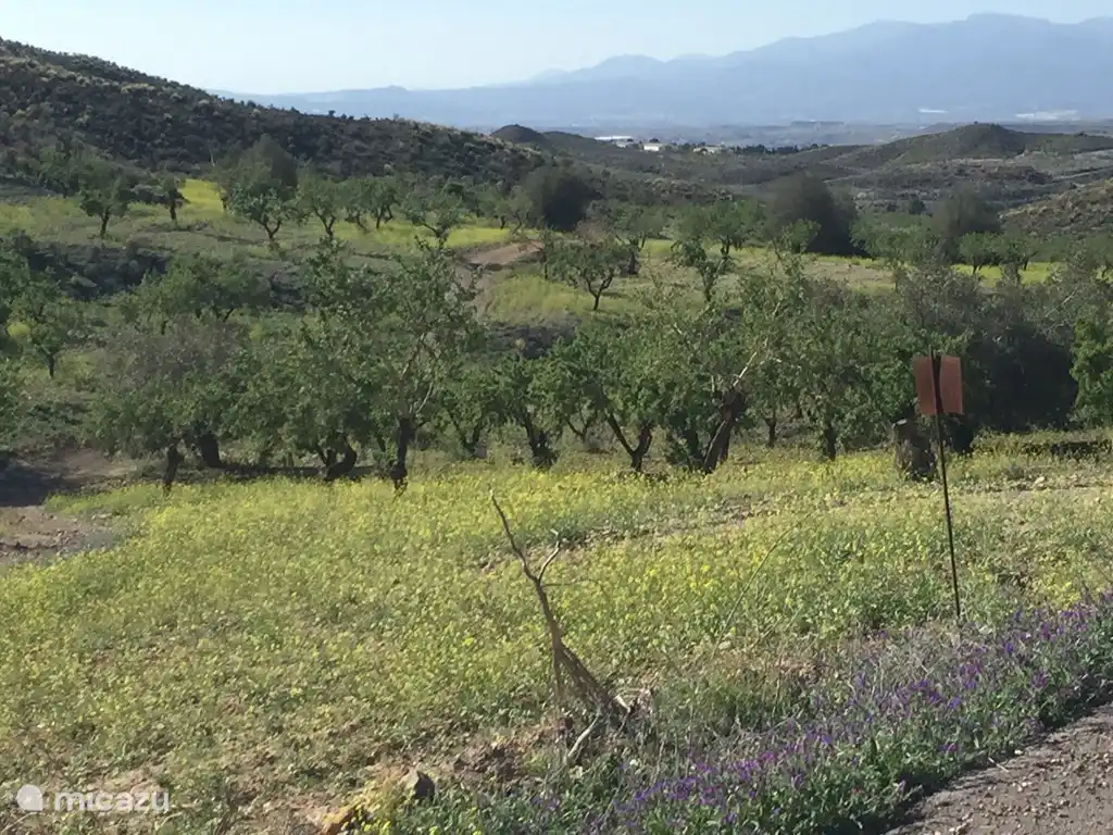 Große Flora und Fauna in der Gegend. Besuchen Sie die Costa Calidá