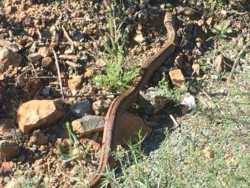 Eine Wanderung oder Radtour kann die schönsten Bilder ergeben.