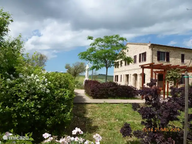 Villa Montileo en Italia, Marche, Belvedere Ostrense - villa El jardín está cada vez más maduro.