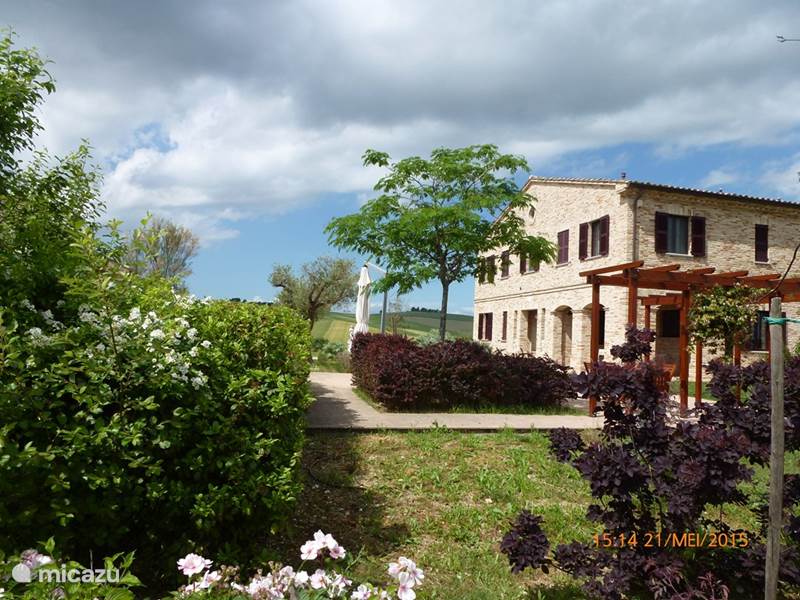 Vakantiehuis Italië, Marche, Belvedere Ostrense Villa Villa Montileo