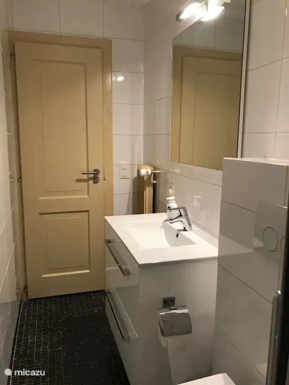 bathroom / wc