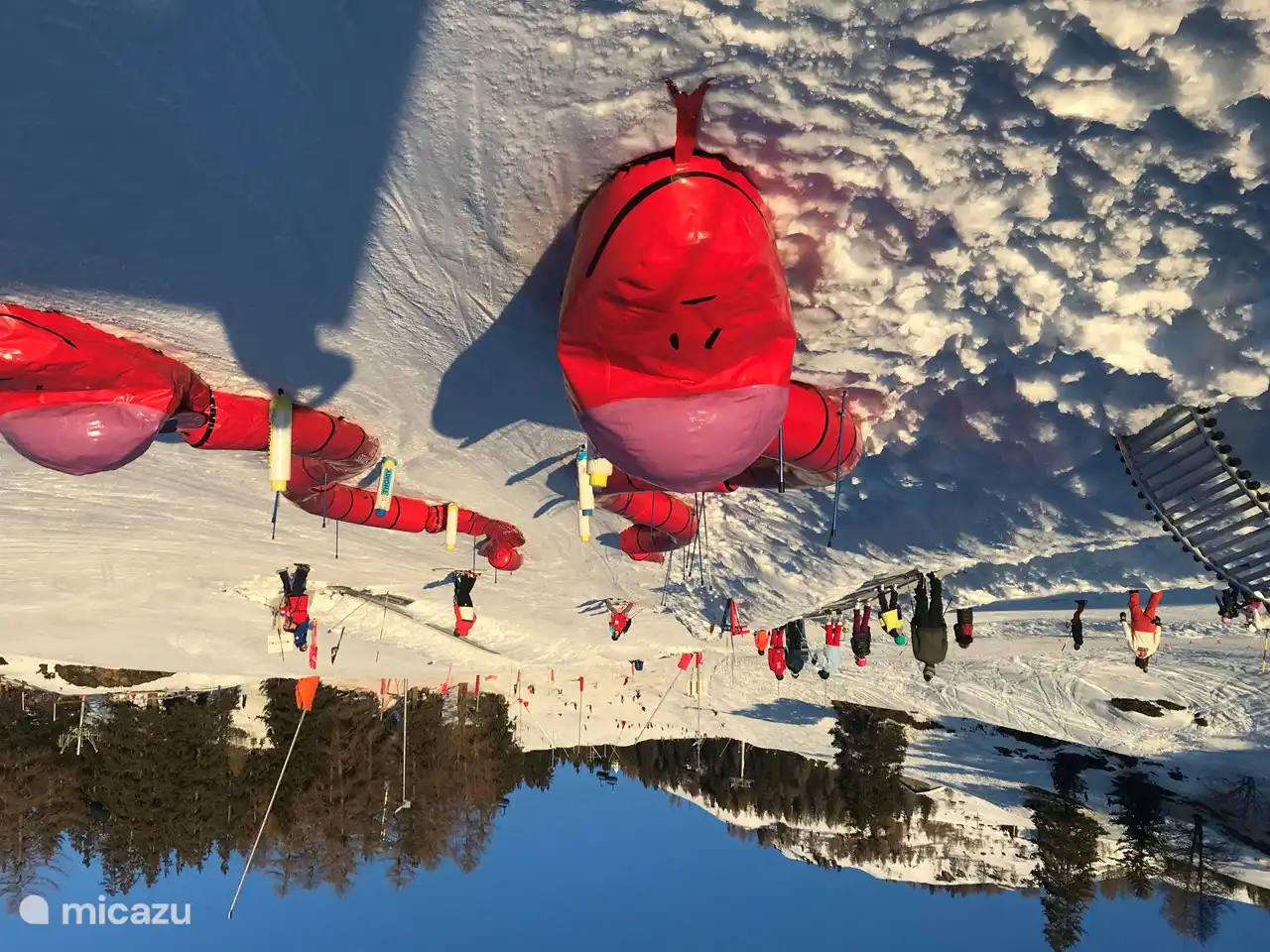 photo from the children's meadow