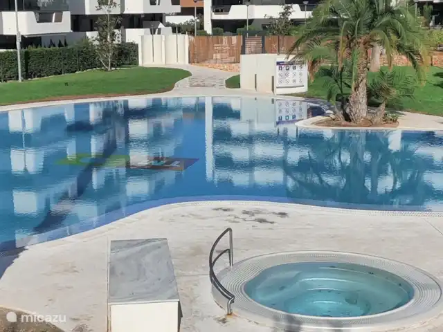 Que Vida! - ático en España, Costa Blanca, Los Arenales del Sol - penthouse Piscina con piscina para niños y 2 jacuzzis