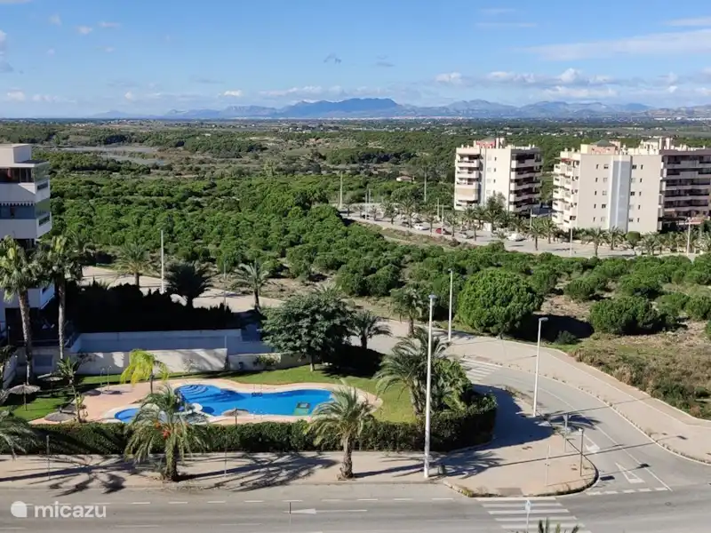 Que Vida ! - attique | Espagne, Costa Blanca, Los Arenales del Sol - Penthouse Que Vida ! - attique | Espagne, Costa Blanca, Los Arenales del Sol - Penthouse