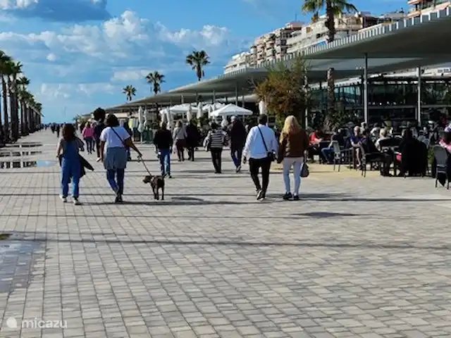 Que Vida! - ático en España, Costa Blanca, Los Arenales del Sol - penthouse El puerto de Santa Pola, a 8 km de Los Arenales, con varias agradables terrazas y restaurantes.