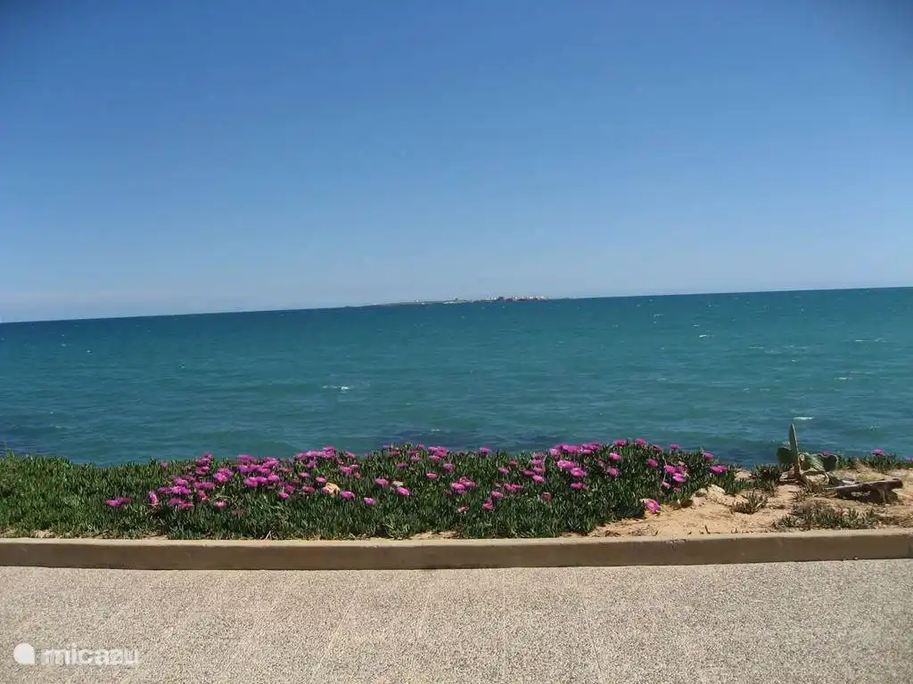 In der Ferne die Insel Tabarca