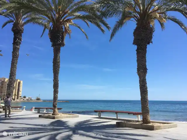 casa vacacional en España, Costa Blanca, Orihuela Costa – Casa Ooms internet fibra optica gratis bulevar torrevieja