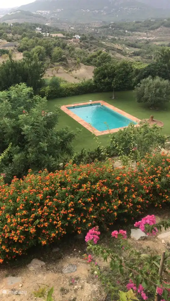 Zwembad en tuin van boven gezien