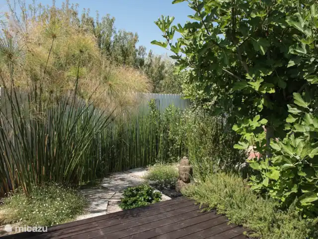 Casa do Vimal | Portugal, Algarve, Tavira - maison de vacances Jardin