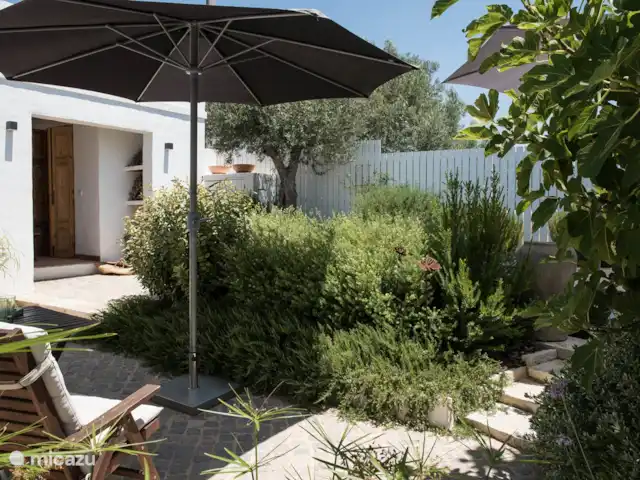 Casa do Vimal | Portugal, Algarve, Tavira - maison de vacances Jardin