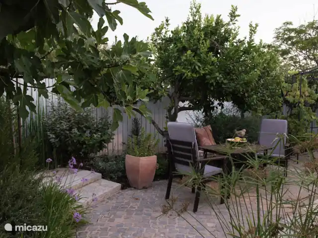 Casa do Vimal | Portugal, Algarve, Tavira - maison de vacances Soir