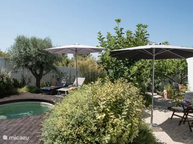Casa do Vimal | Portugal, Algarve, Tavira - maison de vacances Jardin