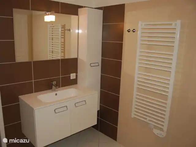 l'Ecrin du Lac sur le lac de Serre-Ponçon | France, Hautes-Alpes, Chorges - appartement salle de bain dans la chambre 1