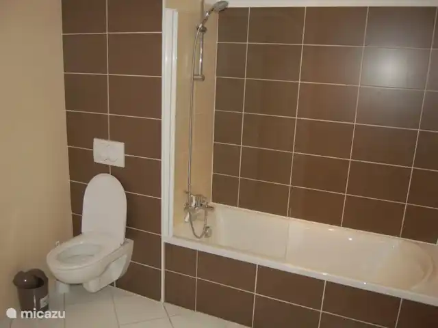l'Ecrin du Lac sur le lac de Serre-Ponçon | France, Hautes-Alpes, Chorges - appartement salle de bain dans la chambre 1