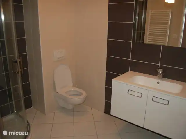 l'Ecrin du Lac sur le lac de Serre-Ponçon | France, Hautes-Alpes, Chorges - appartement salle de bain dans la chambre 2