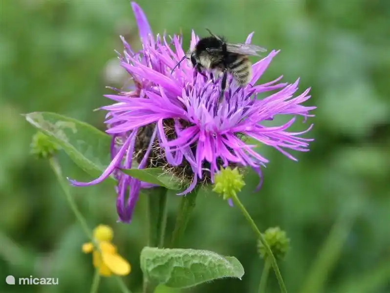 Die Mitarbeiter des Imkers.