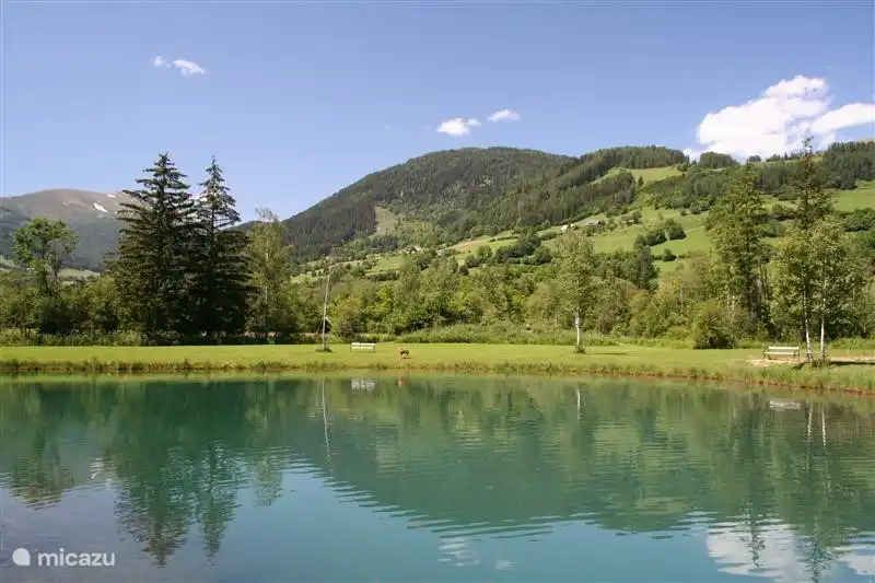 Berge, Wälder, Wiesen und Wasser. Das grüne Herz von Österreich.