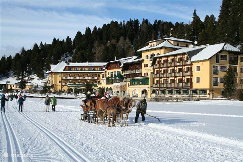 Vacation rental Austria, Styria, Sankt Georgen ob Murau Holiday house Haus Georgi