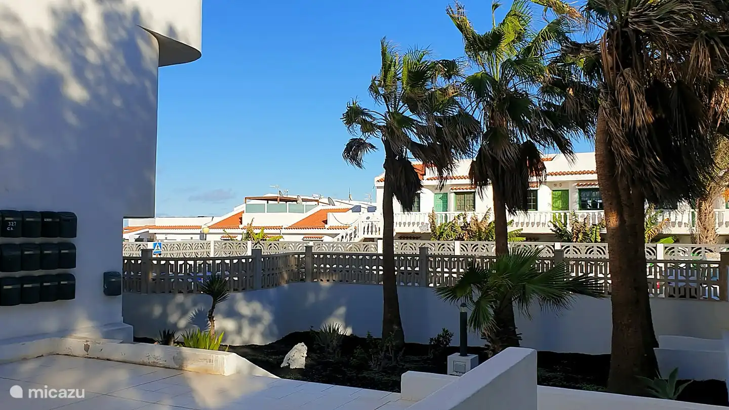 Gut gepflegte Gemeinschaftsgärten