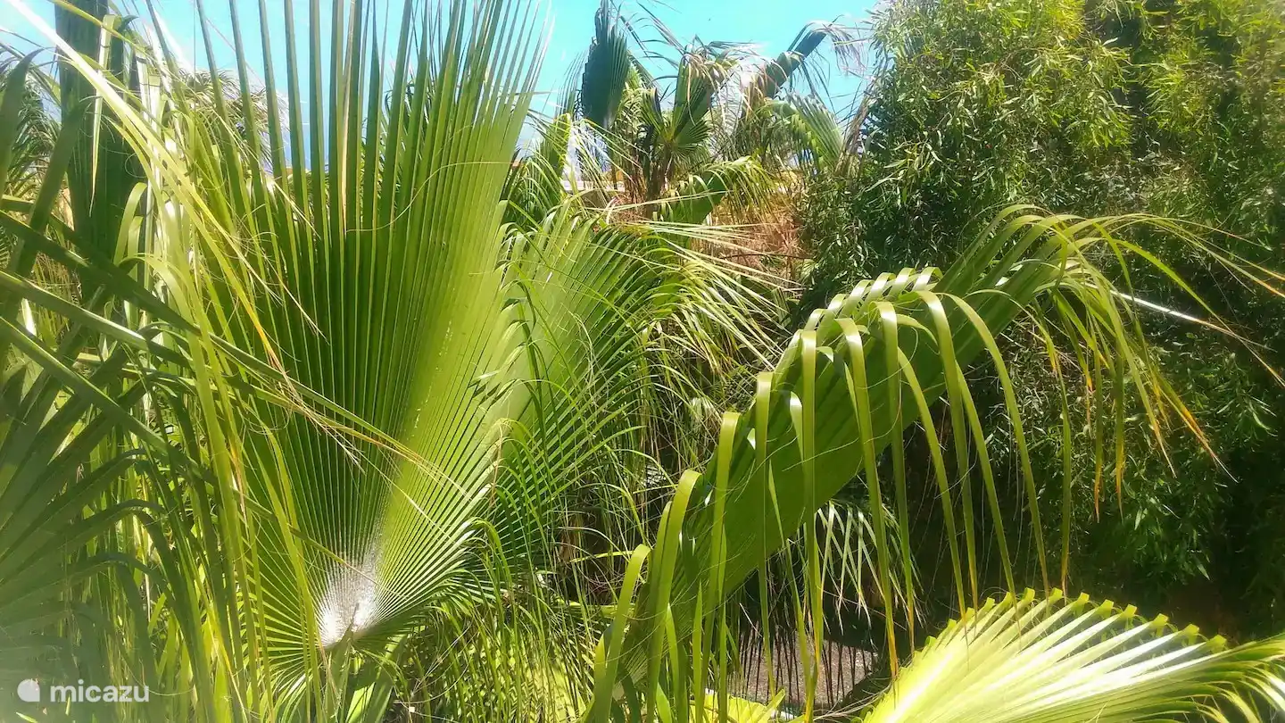 Landschaftsgestaltung Palmengarten