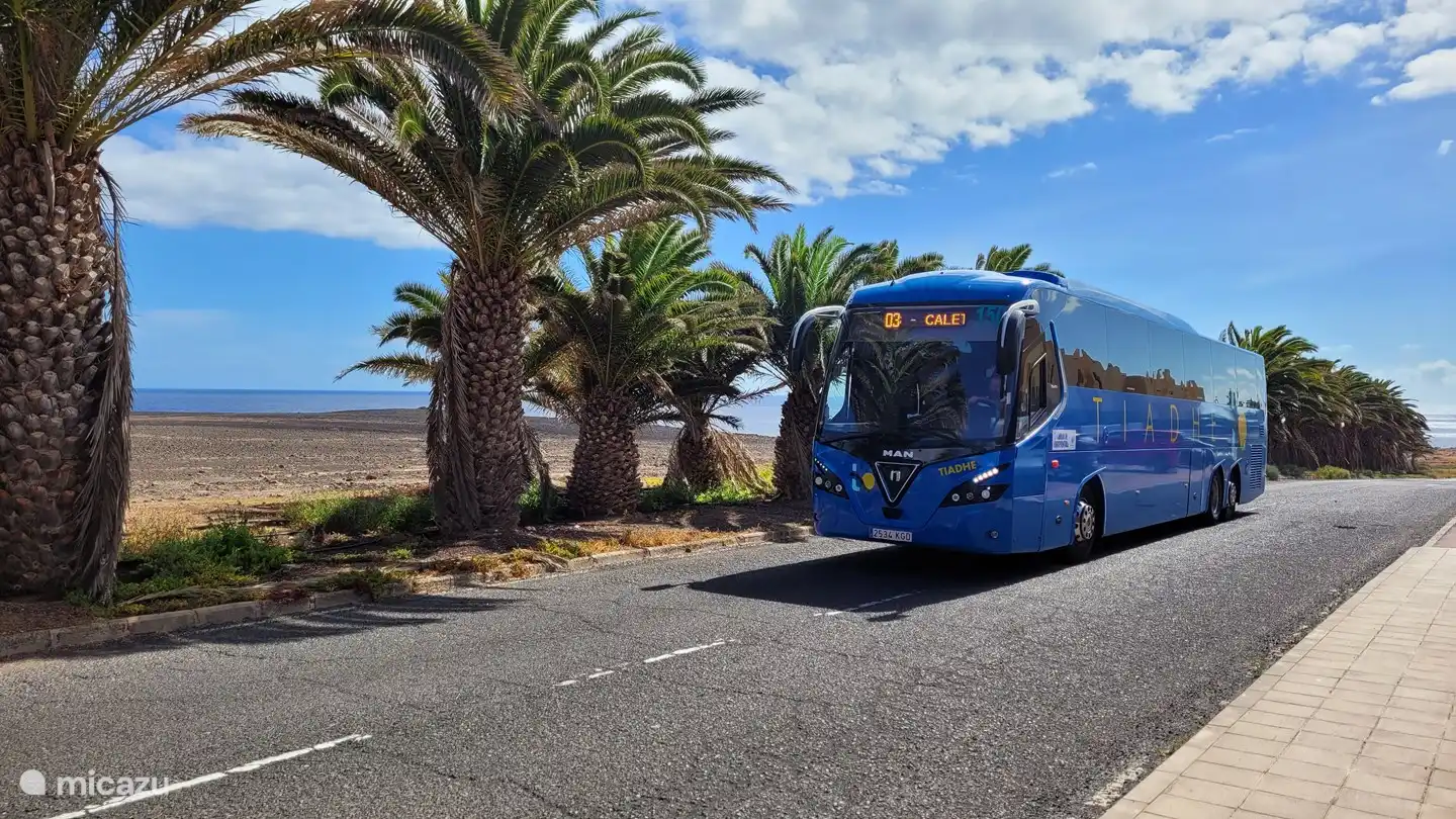 Bus 3 (Strandbus) mit halbstündlichem Service 55 Meter von der Wohnung entfernt.