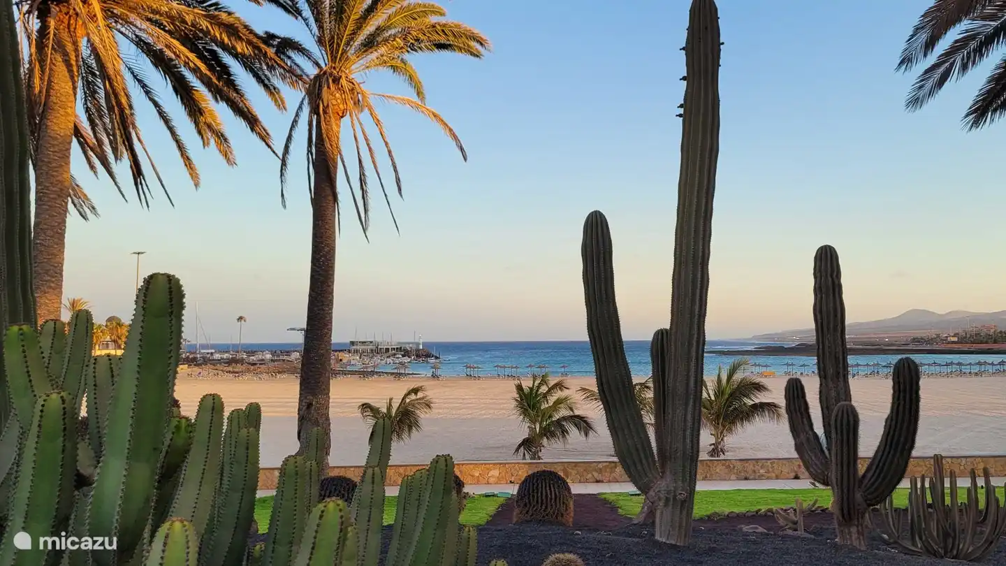 Playa El Castillo (Caleta de Fuste)