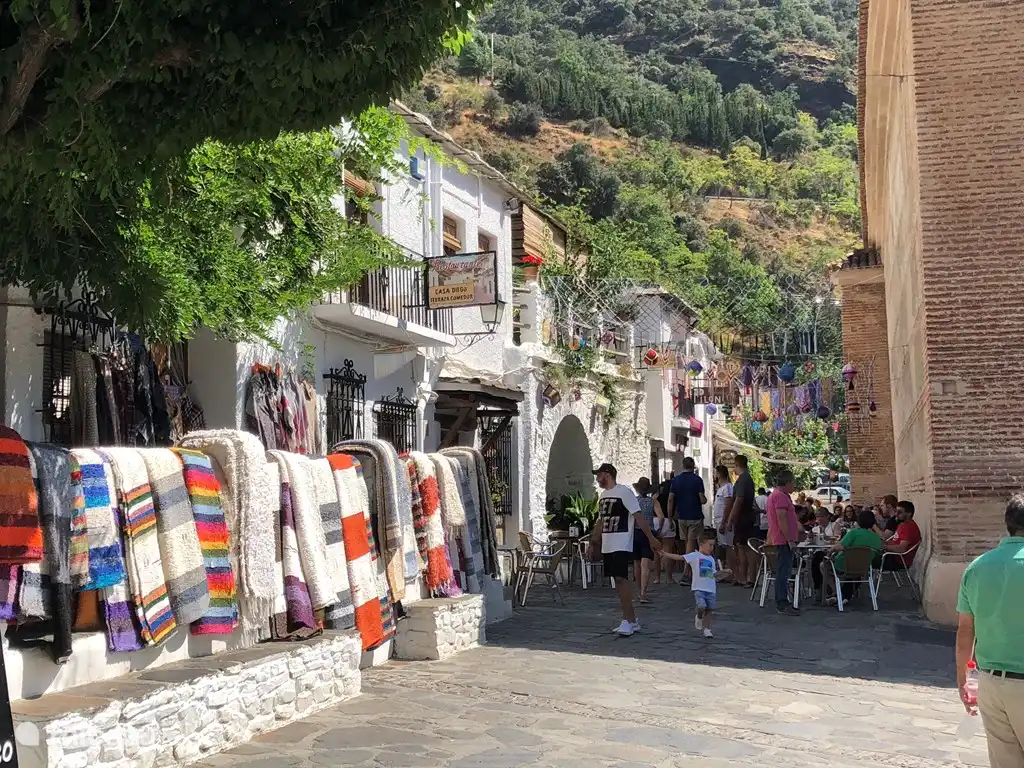 Pampaneira staat op de monumentenlijst als een van de pittoreske witte dorpjes aan de voet van de Pico del Valeta, de twee na hoogste berg van de Sierra Nevada.