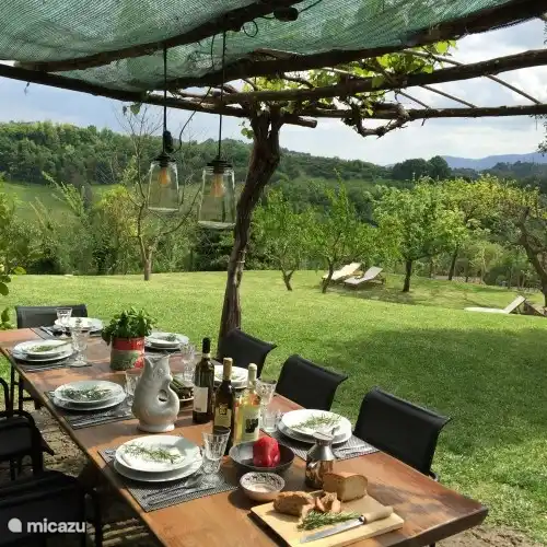 Casale Regina - terraza bajo las vides